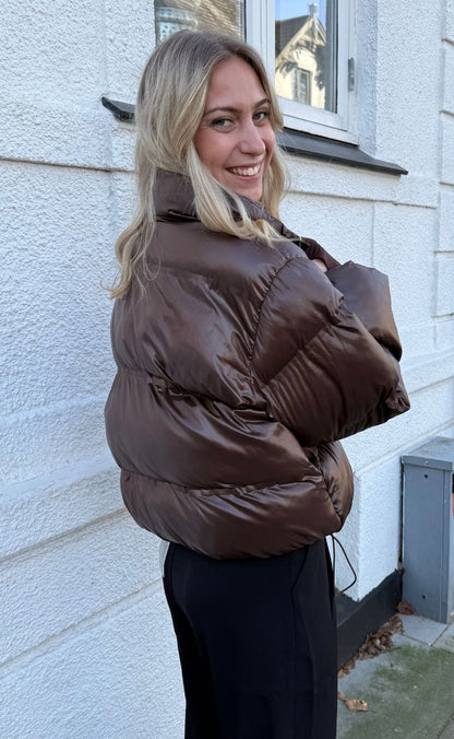 Shiny Puffer - Dark Brown