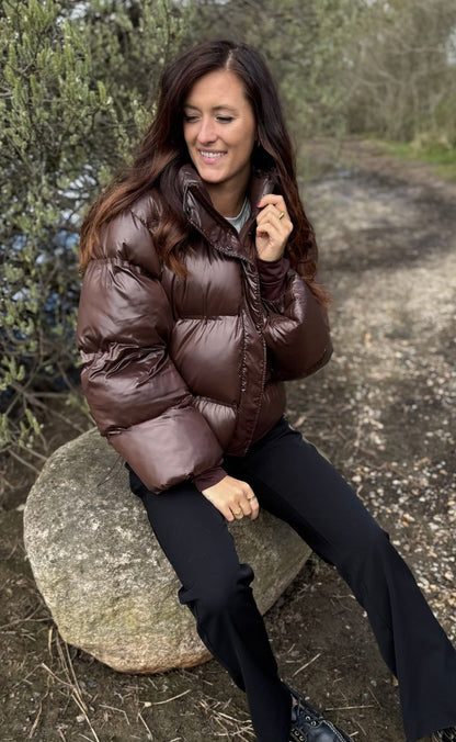 Shiny Puffer - Dark Brown